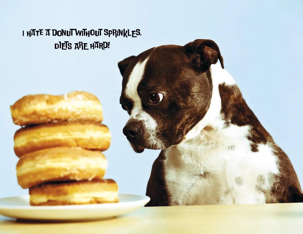 Funny Animals Wall Calendar Stapled FSC Paper - 19 x 11 in - product view 6