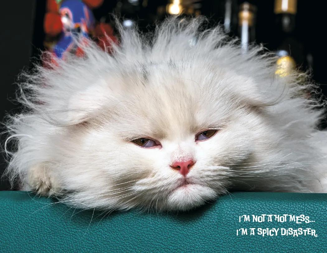 Funny Animals Wall Calendar Stapled FSC Paper - 19 x 11 in - product view 7