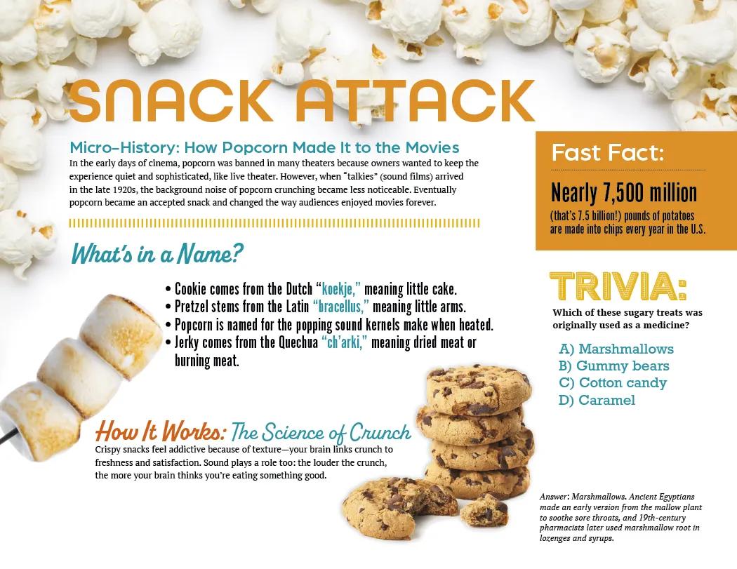 Trivia Facts Wall Calendar Stapled FSC Paper - 19 x 11 in - product view 8