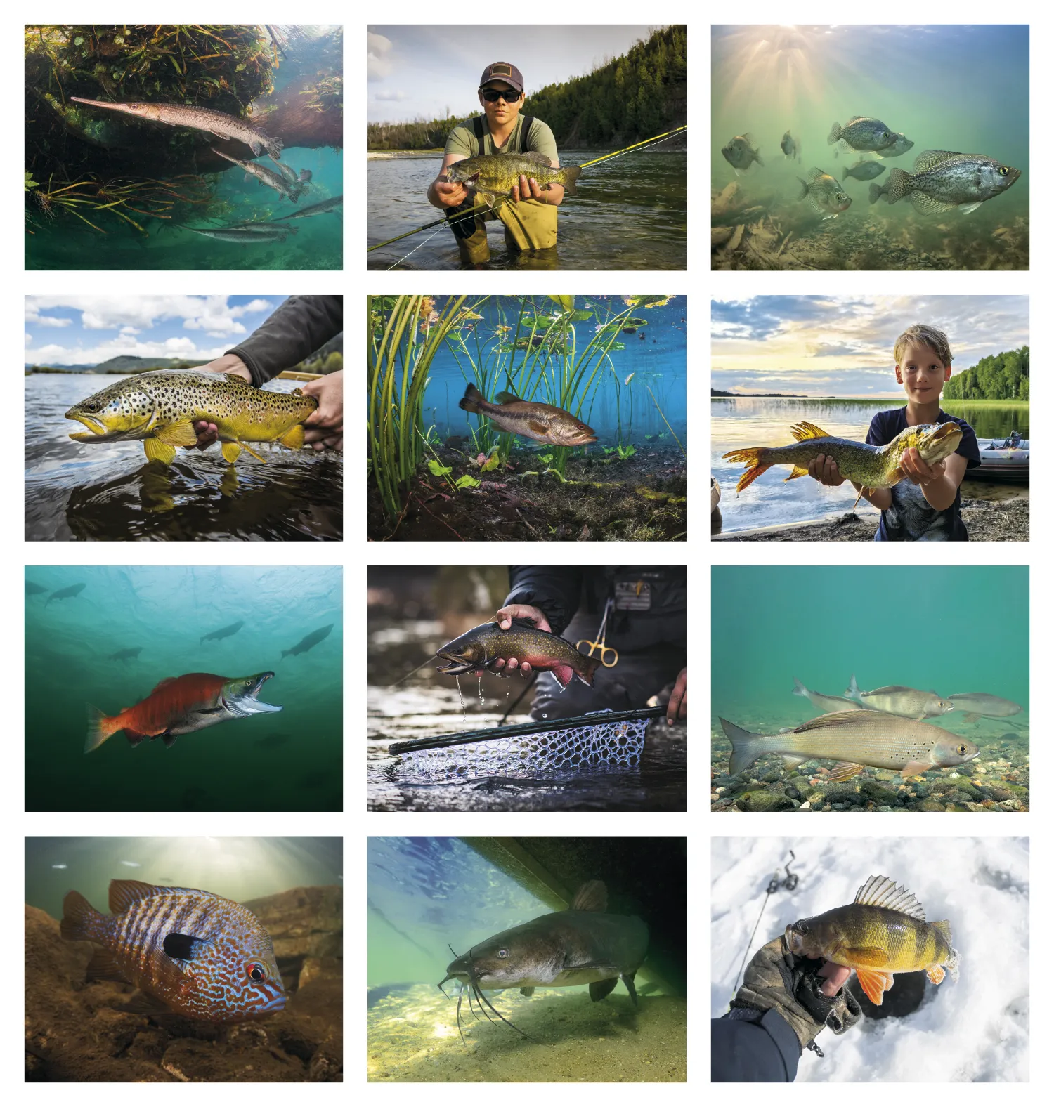 Fishing Wall Calendar Stapled FSC Paper - 19 x 11 in - product view 21
