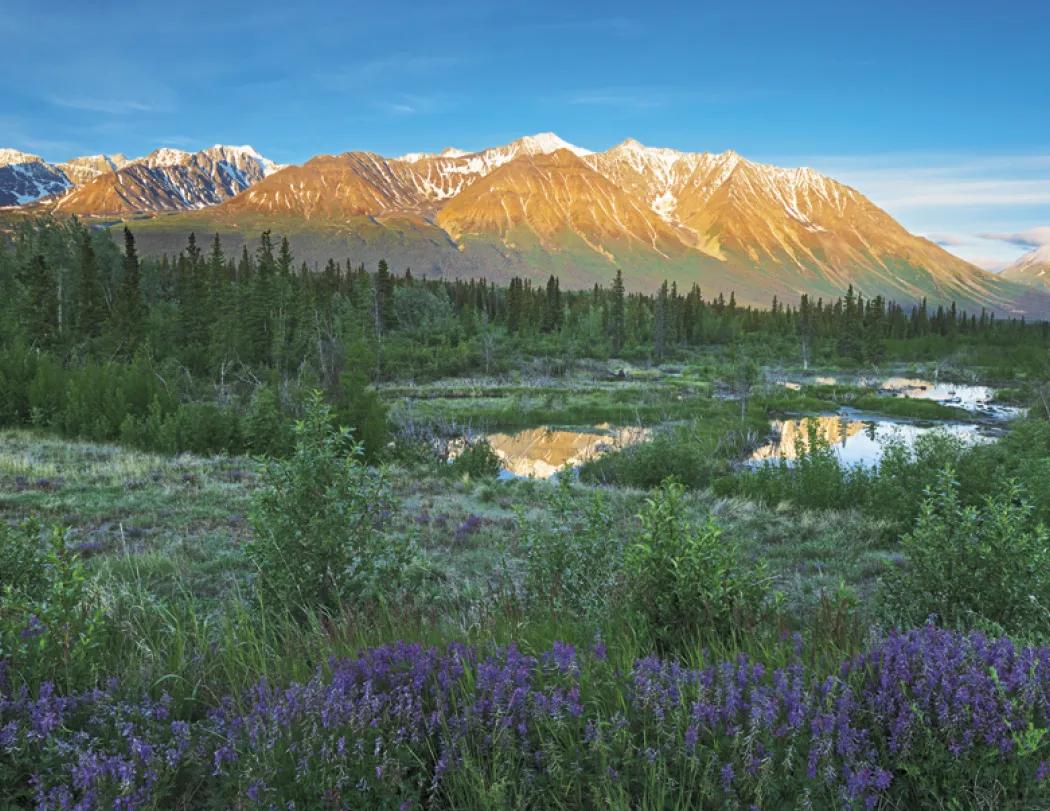 Canadian Landscapes Wall Calendar Stapled FSC - 19 x 11 in - product view 10