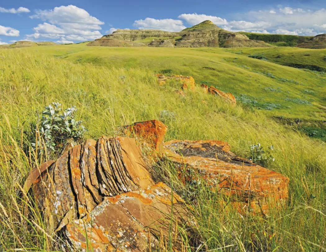 Canadian Landscapes Wall Calendar Stapled FSC - 19 x 11 in - product view 12