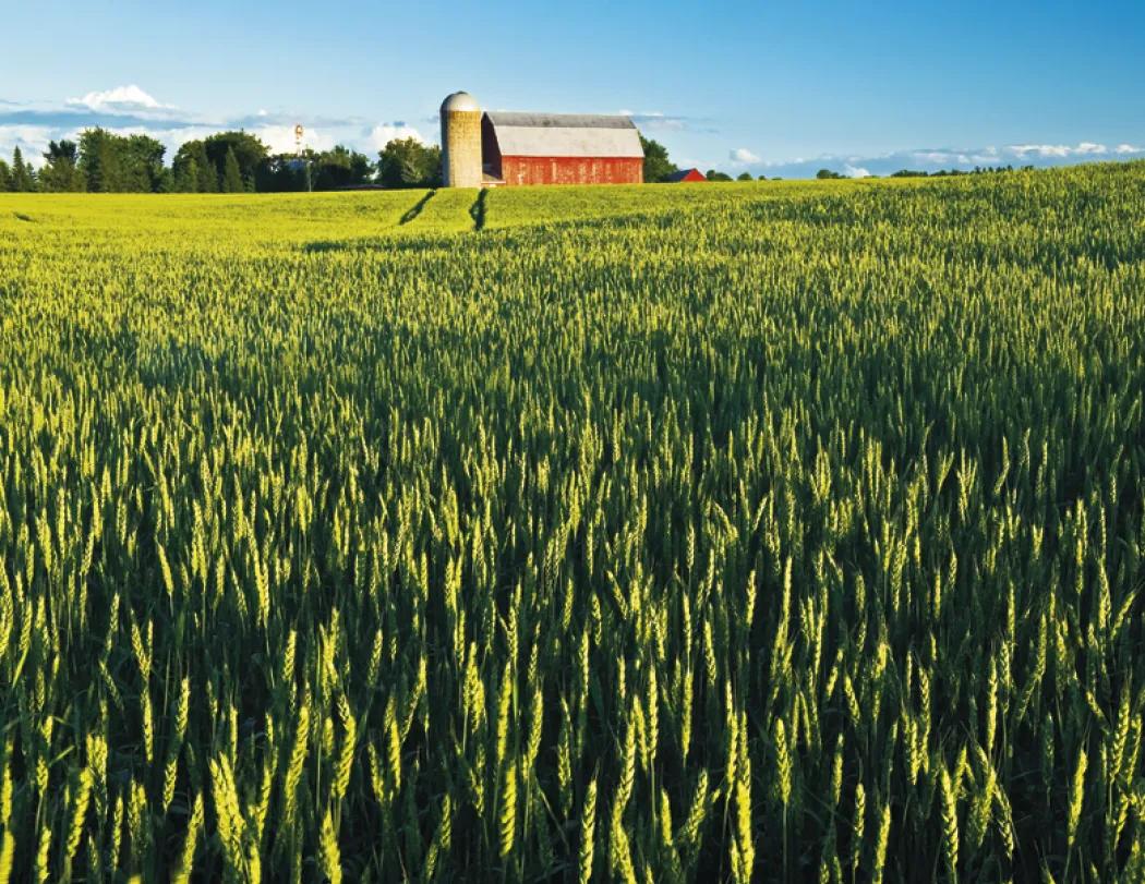 Ontario Scenery Wall Calendar Stapled FSC - 19 x 11 in - product view 13