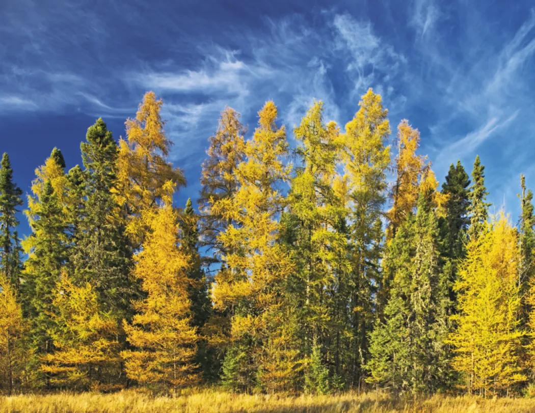 Ontario Scenery Wall Calendar Stapled FSC - 19 x 11 in - product view 17