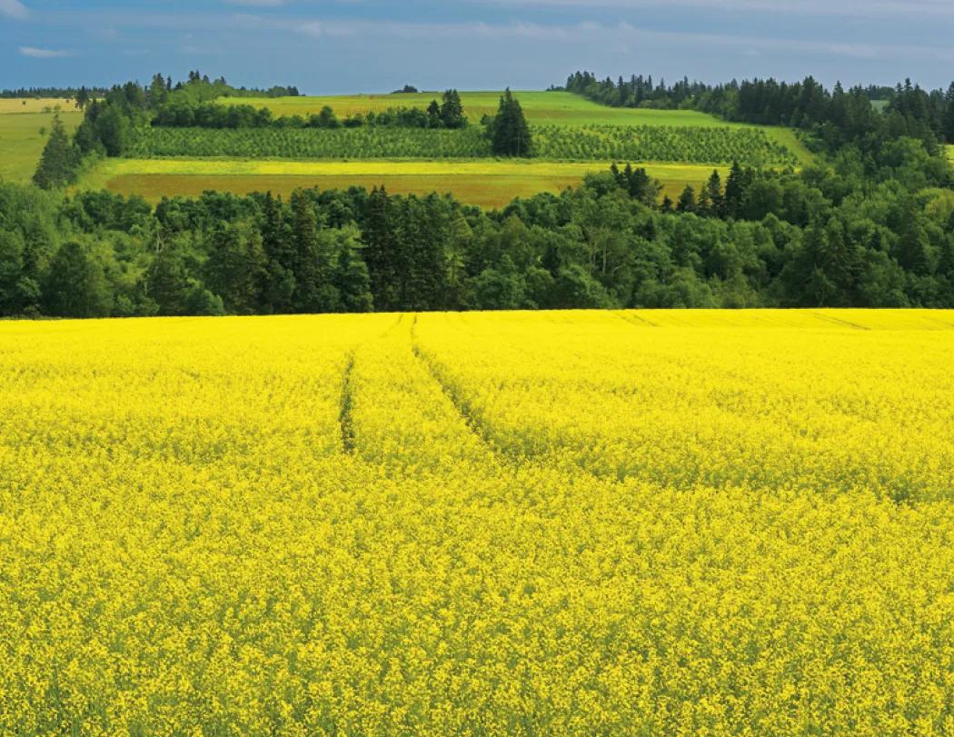 Atlantic Canada Wall Calendar Stapled FSC - 19 x 11 in - product view 14