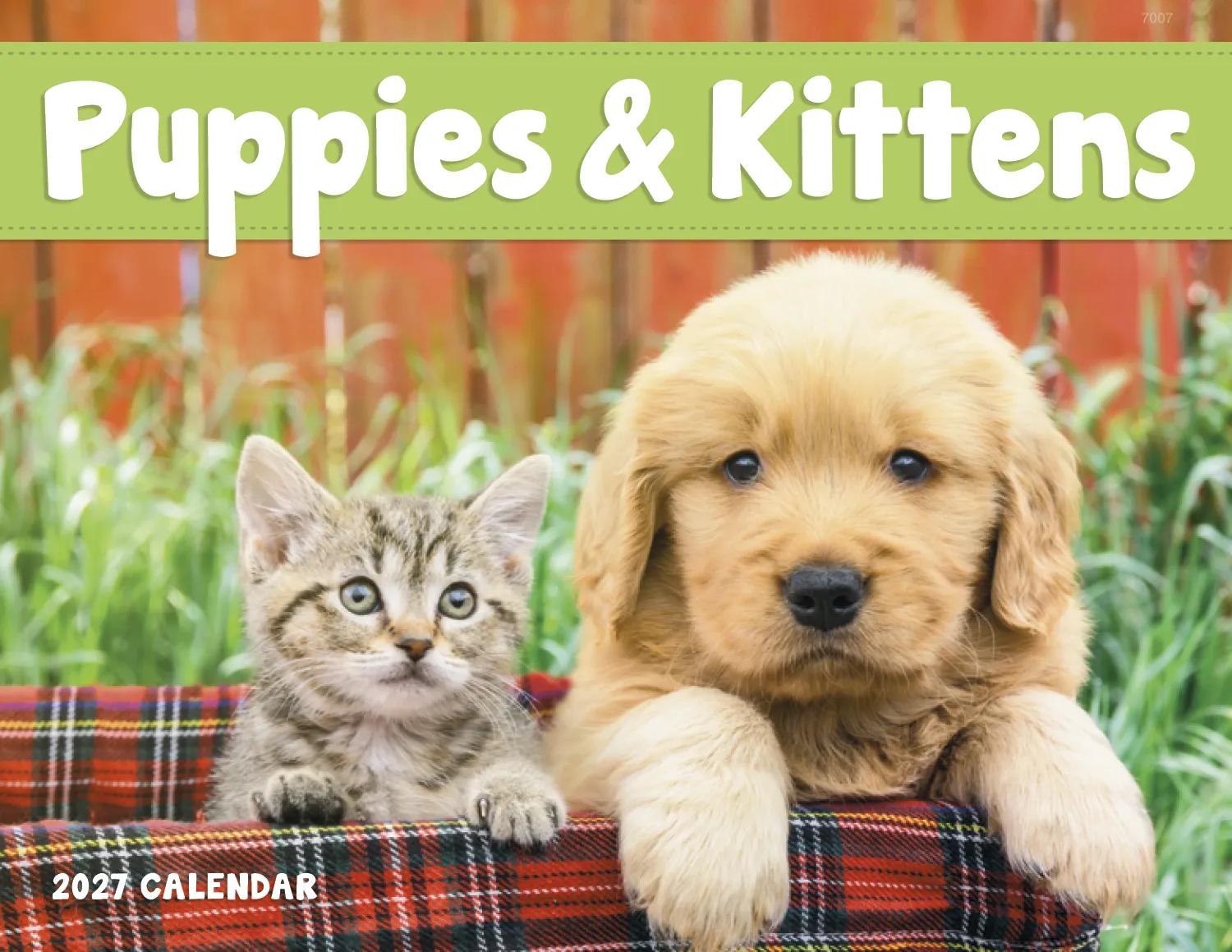 Puppies Kittens Window Calendar FSC Paper - 17.25 x 11 in - product view 2