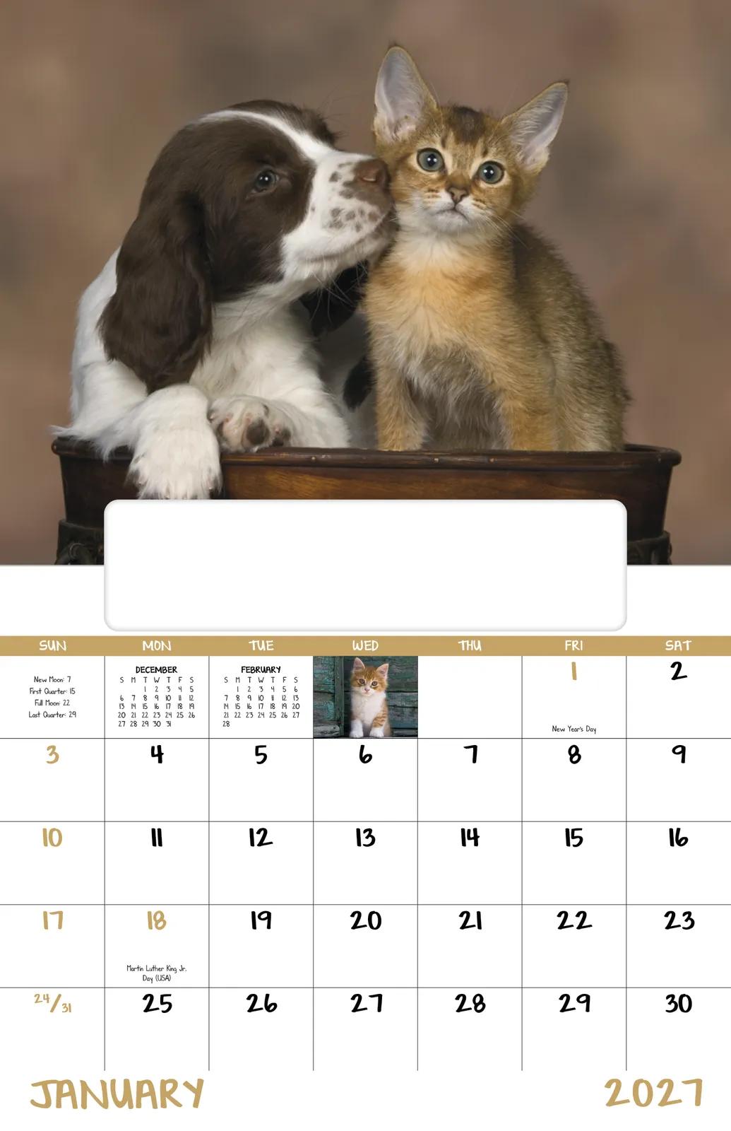 Puppies Kittens Window Calendar FSC Paper - 17.25 x 11 in - product view 4