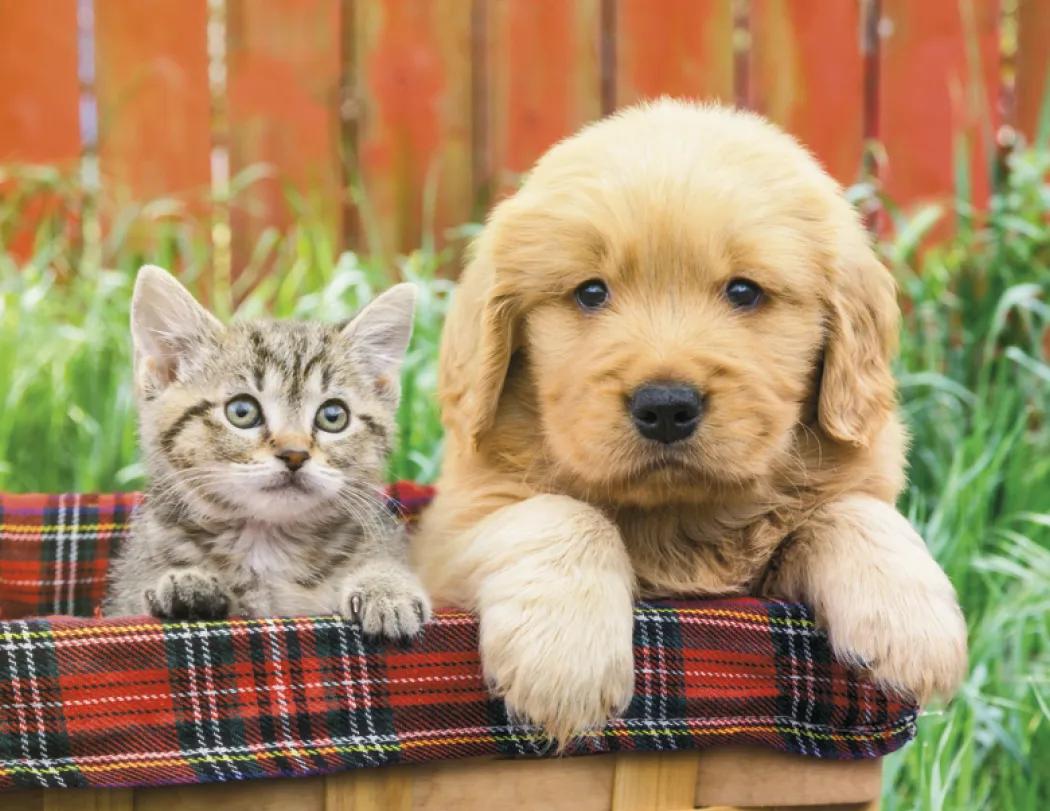 Puppies Kittens Window Calendar FSC Paper - 17.25 x 11 in - product view 16