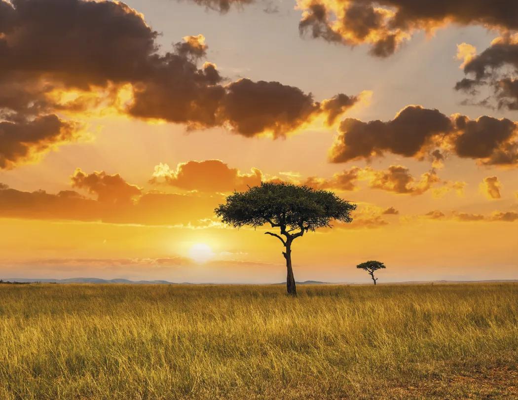 Glorious Getaways Window Calendar Travel FSC - 17.25 x 11 in - product view 5