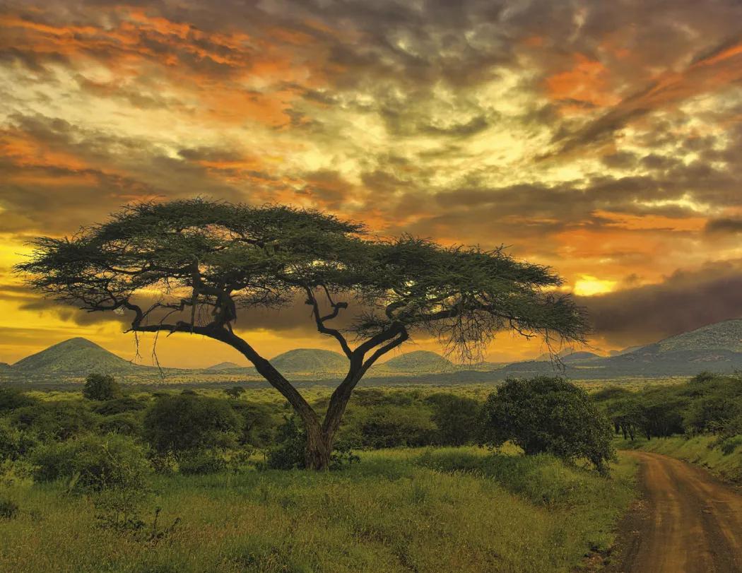 Glorious Getaways Window Calendar Travel FSC - 17.25 x 11 in - product view 8