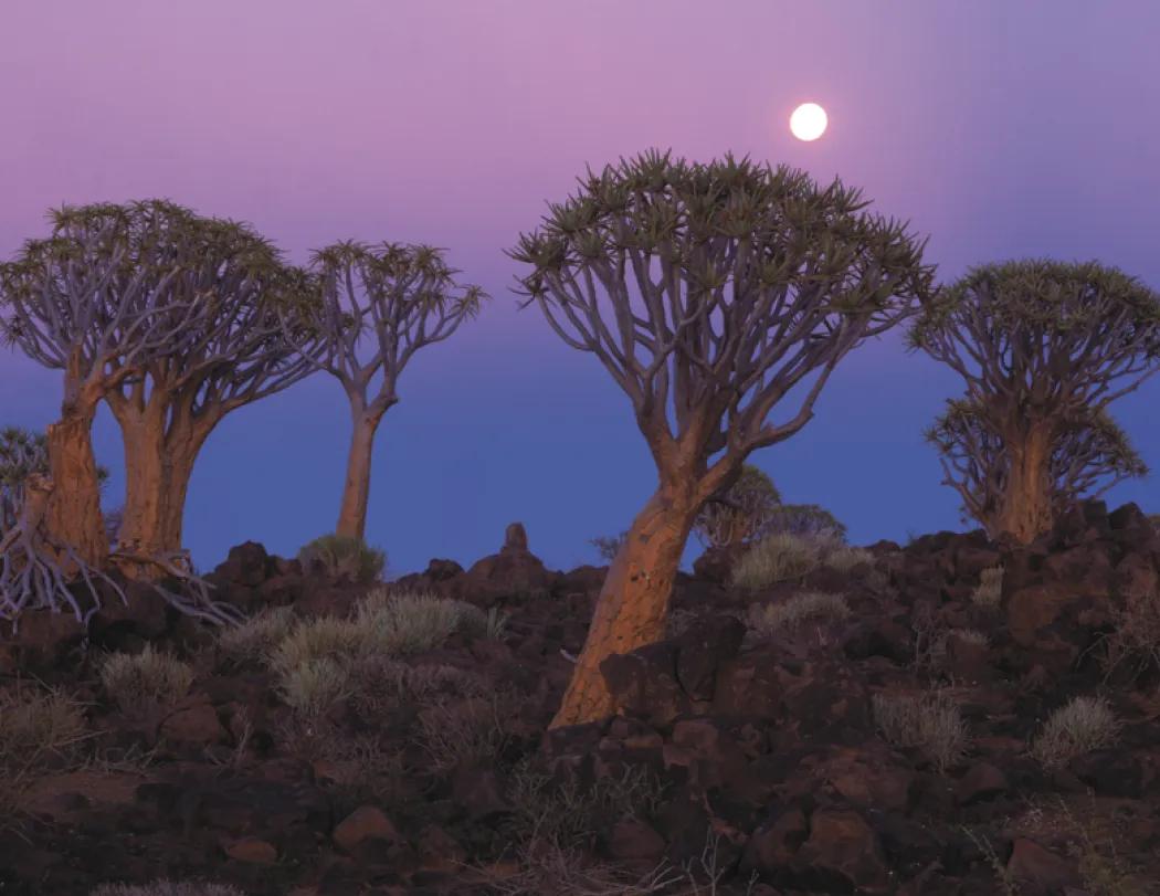 Glorious Getaways Window Calendar Travel FSC - 17.25 x 11 in - product view 10