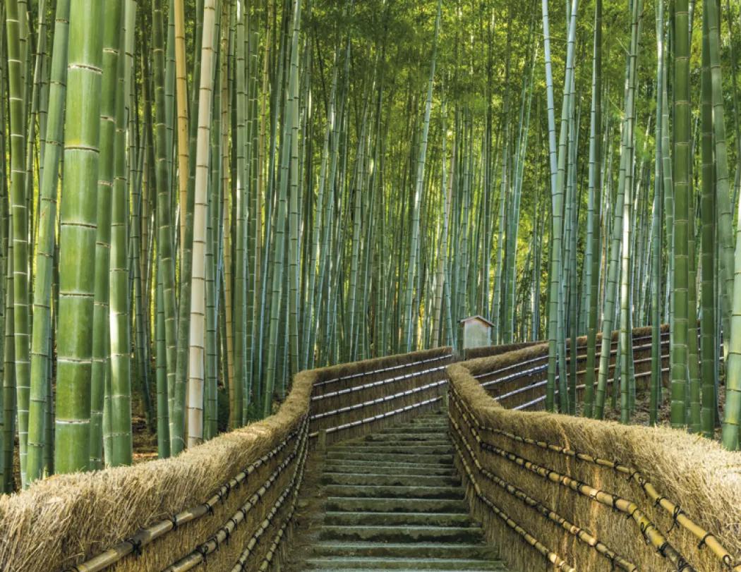 Glorious Getaways Window Calendar Travel FSC - 17.25 x 11 in - product view 14