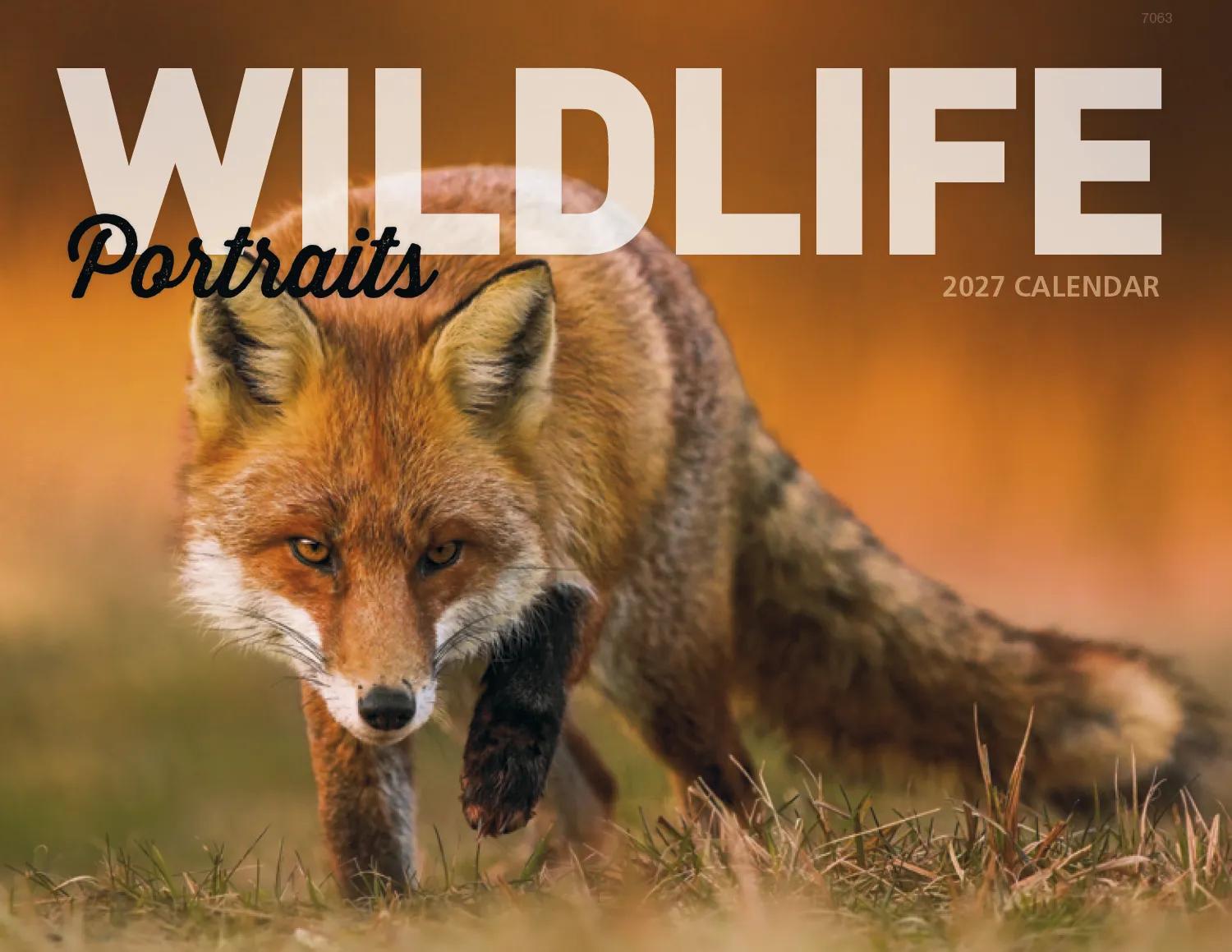 Wildlife Portraits Window Calendar North America - 17.25 x 11 in - product view 2