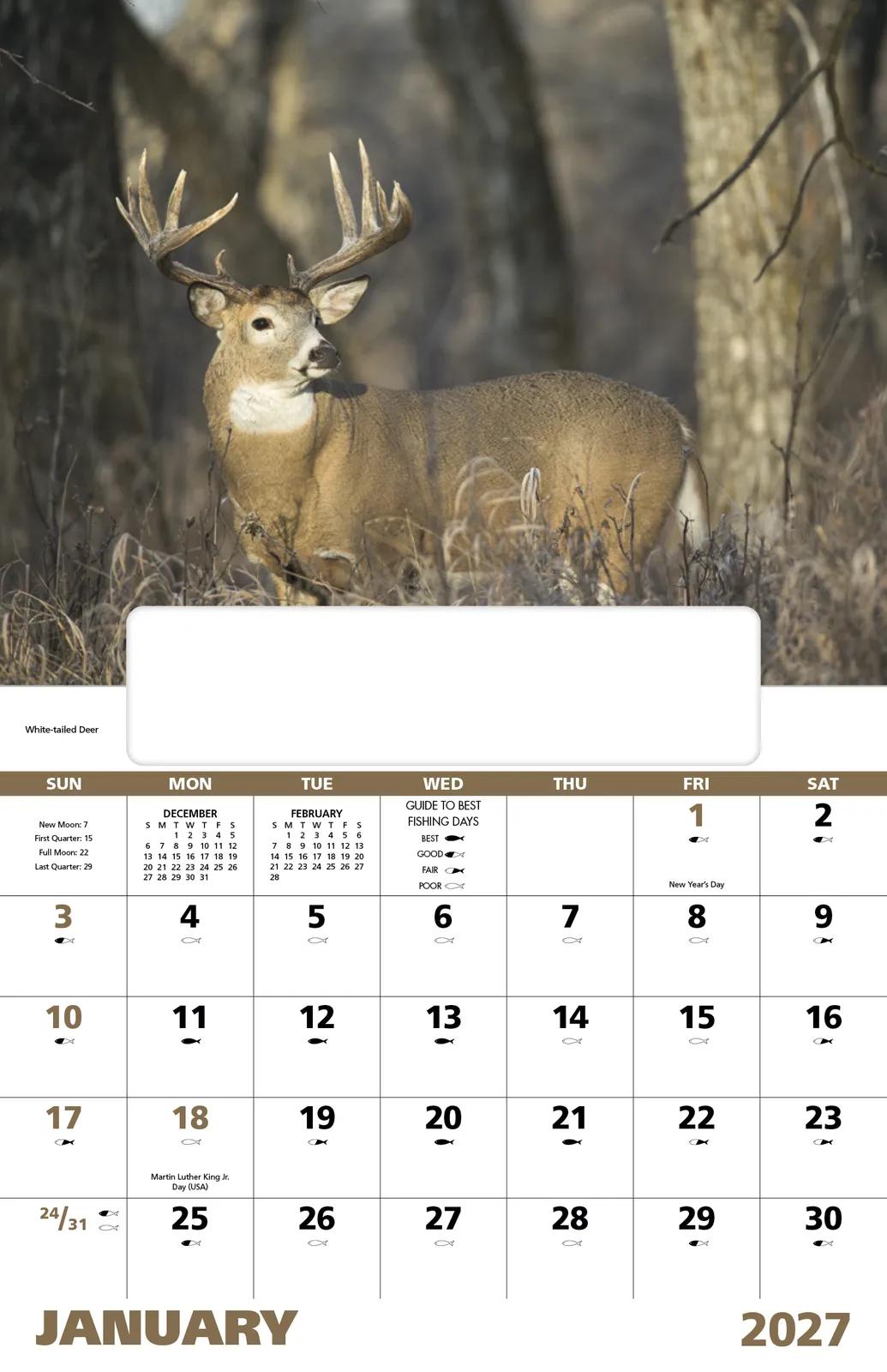Wildlife Portraits Window Calendar North America - 17.25 x 11 in - product view 4