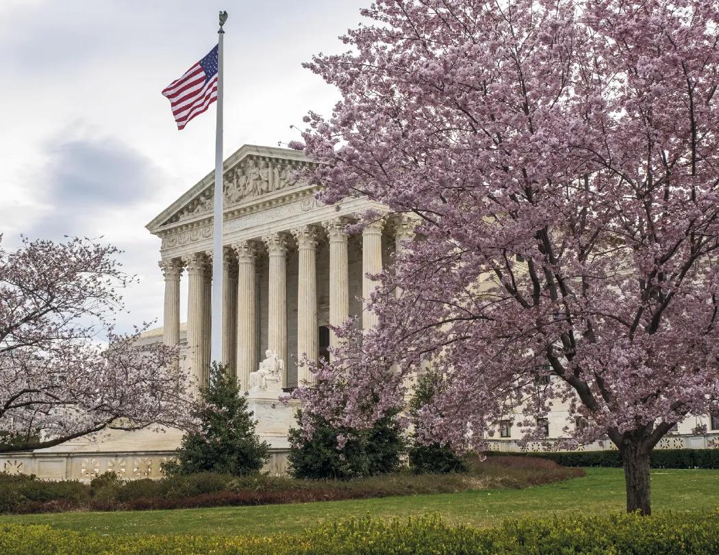 Celebrate America Window Calendar Patriotic FSC - 17.25 x 11 in - product view 10