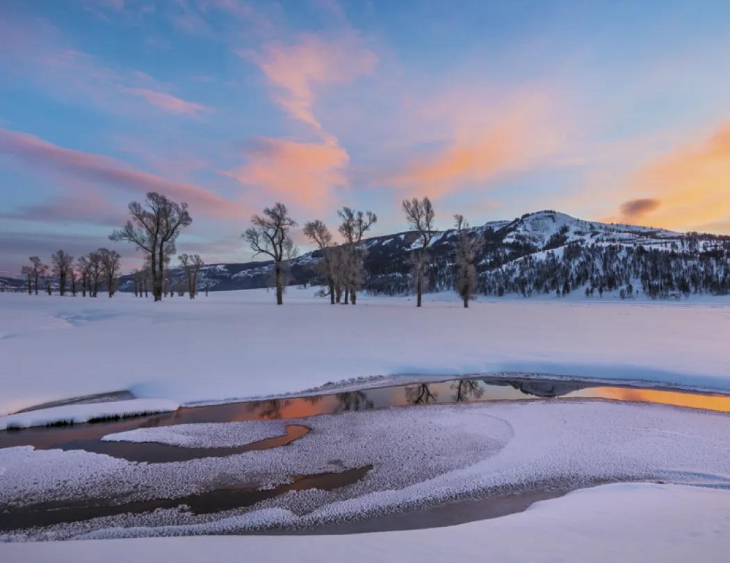 Scenic America Appointment Calendar Stapled FSC - 19 x 11 in - product view 8