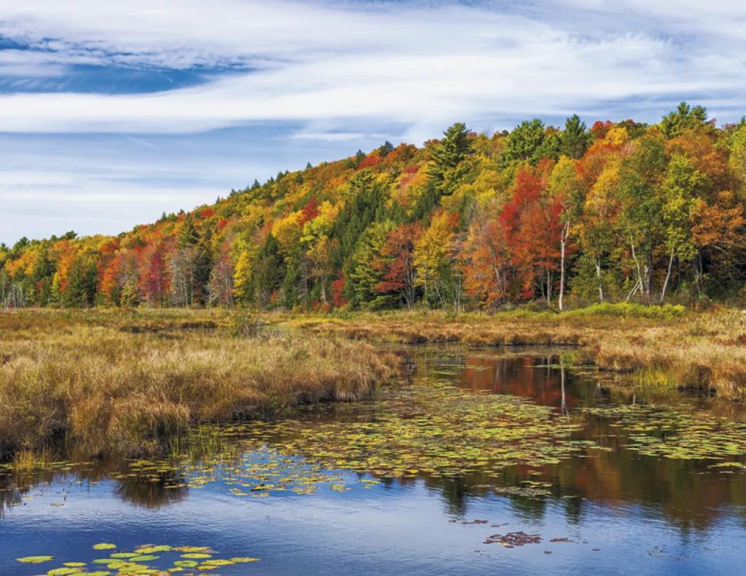 Scenic America Appointment Calendar Stapled FSC - 19 x 11 in - product view 17