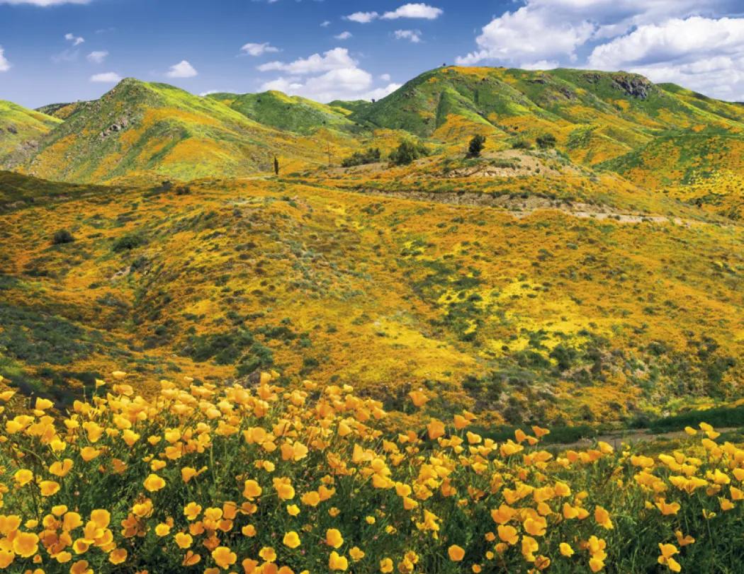 California Photography Wall Calendar Stapled - 19 x 11 in - product view 11