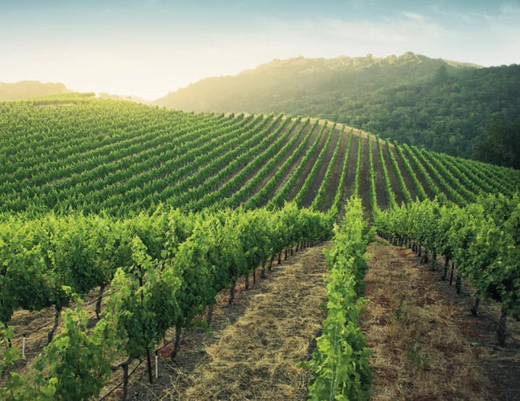 California Photography Wall Calendar Stapled - 19 x 11 in - product view 14