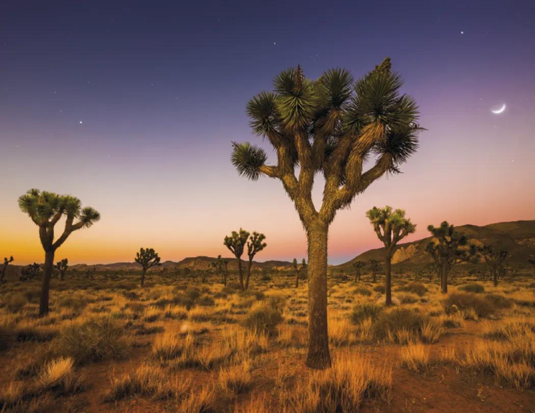 California Photography Wall Calendar Stapled - 19 x 11 in - product view 16