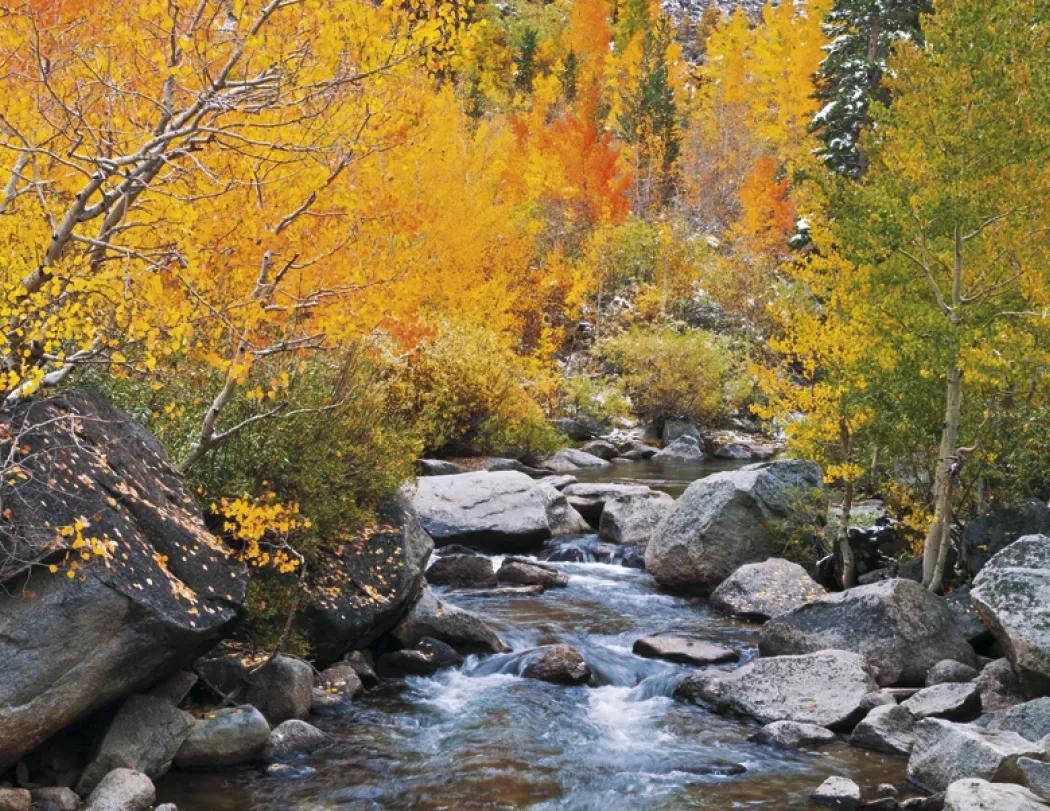 California Photography Wall Calendar Stapled - 19 x 11 in - product view 17