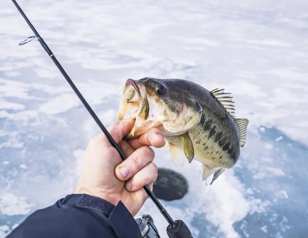 Fishing Guide Wall Calendar Activity Forecast - 19 x 11 in - product view 6