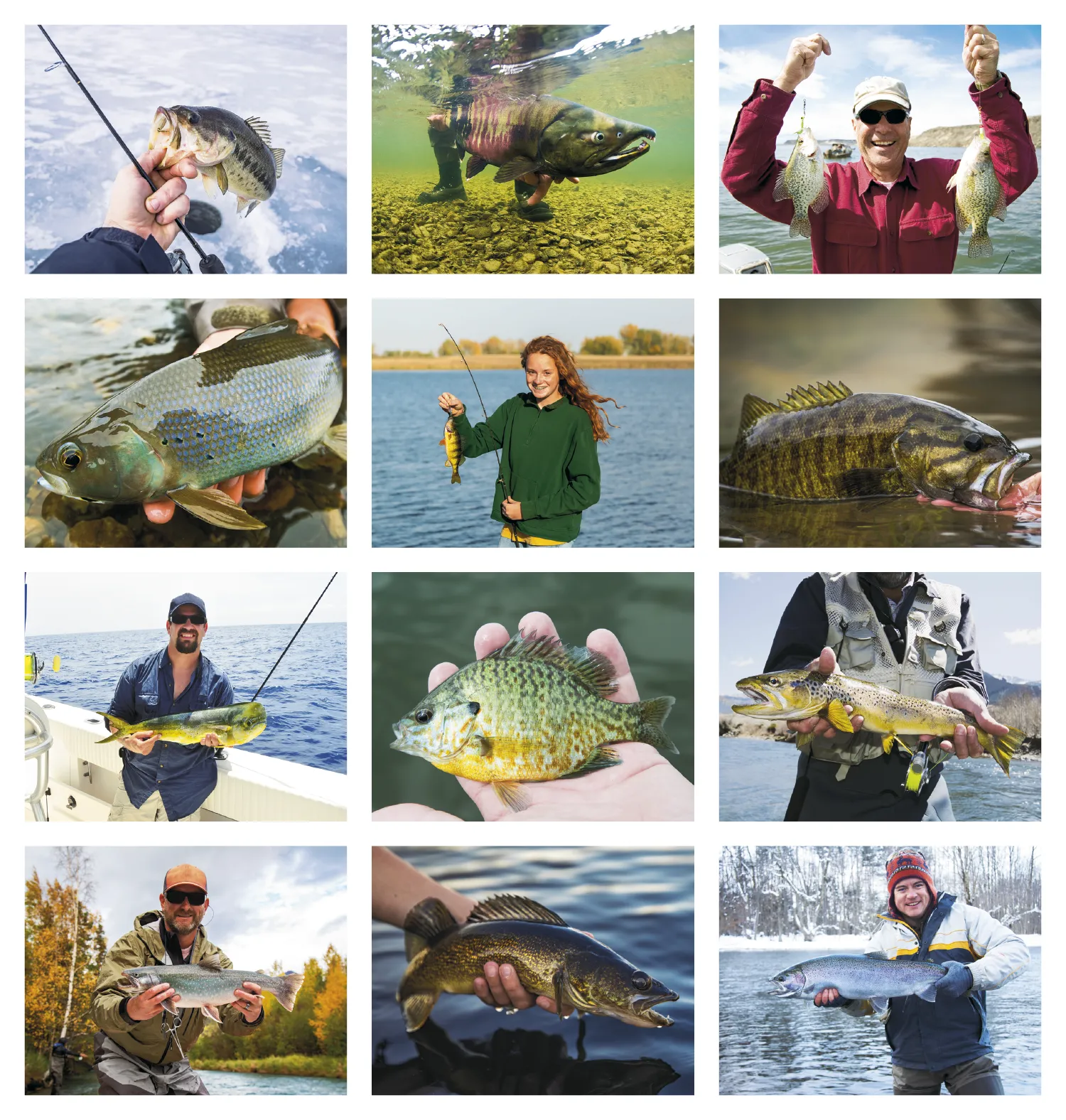 Fishing Guide Wall Calendar Activity Forecast - 19 x 11 in - product view 21