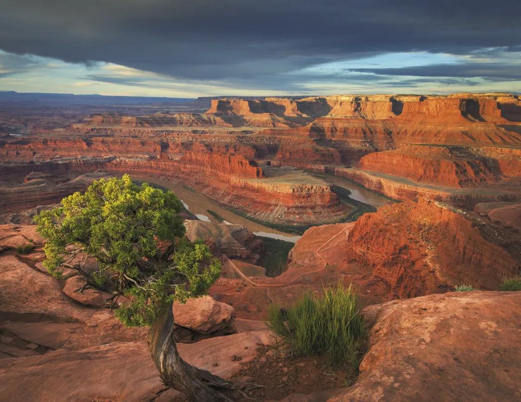 Contemplations Wall Calendar Inspirational Quotes - 19 x 11 in - product view 9