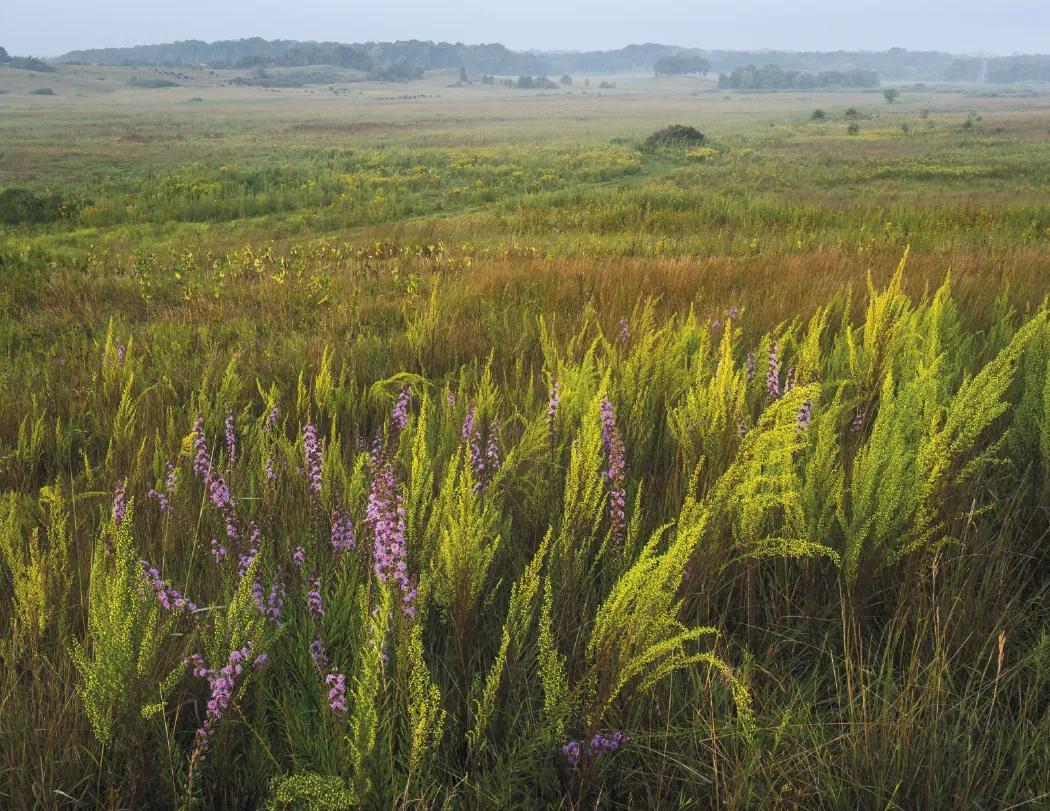 Contemplations Wall Calendar Inspirational Quotes - 19 x 11 in - product view 10