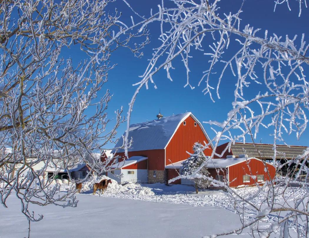 America's Bounty Wall Calendar Rural Life Images - 19 x 11 in - product view 7