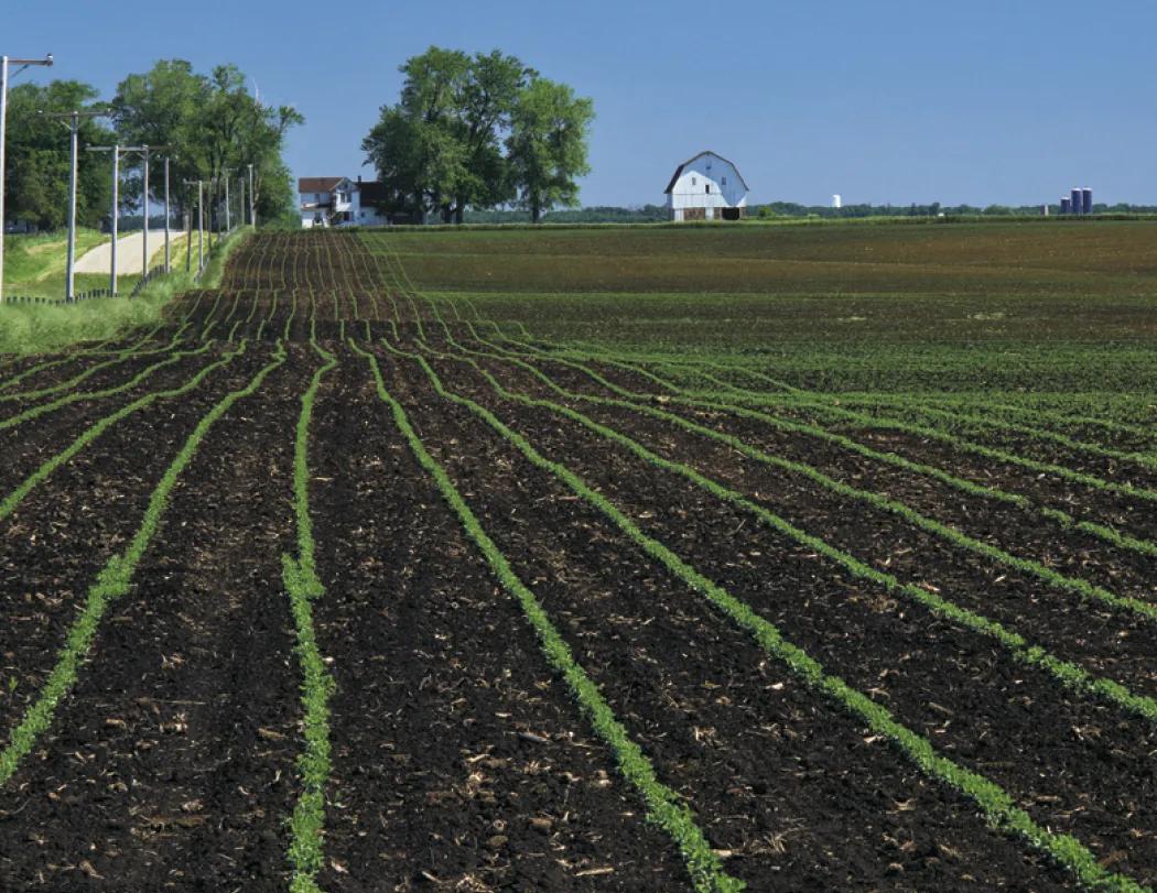 America's Bounty Wall Calendar Rural Life Images - 19 x 11 in - product view 10