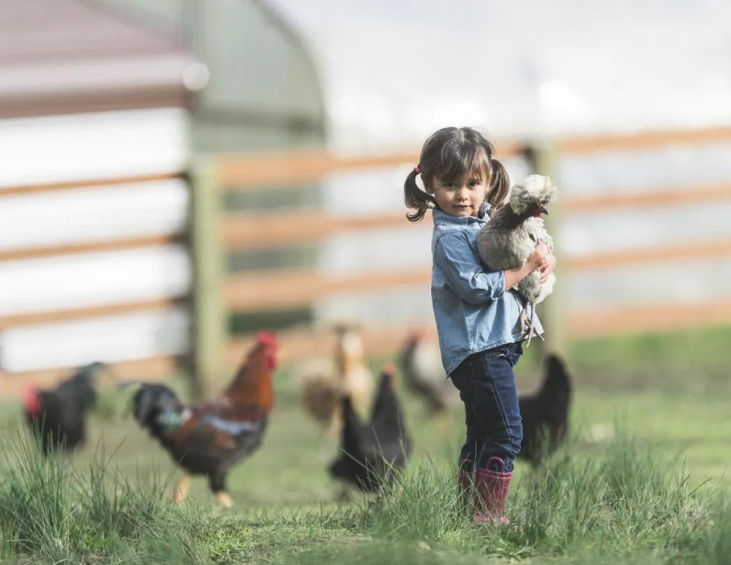 America's Bounty Wall Calendar Rural Life Images - 19 x 11 in - product view 12