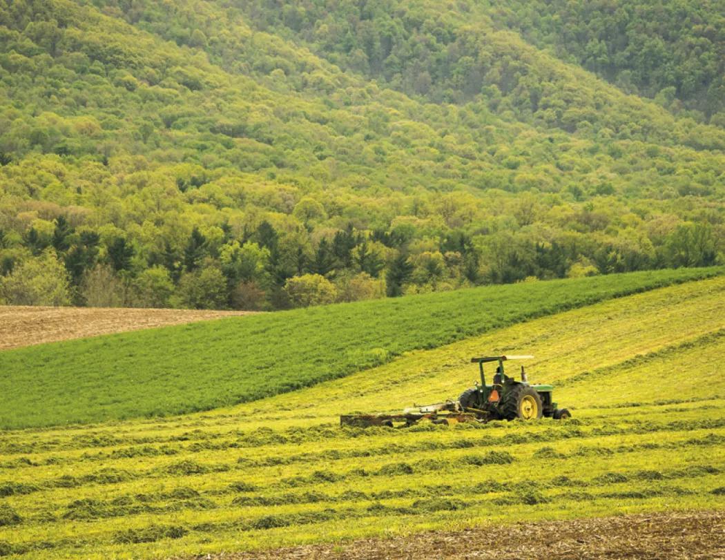 America's Bounty Wall Calendar Rural Life Images - 19 x 11 in - product view 14
