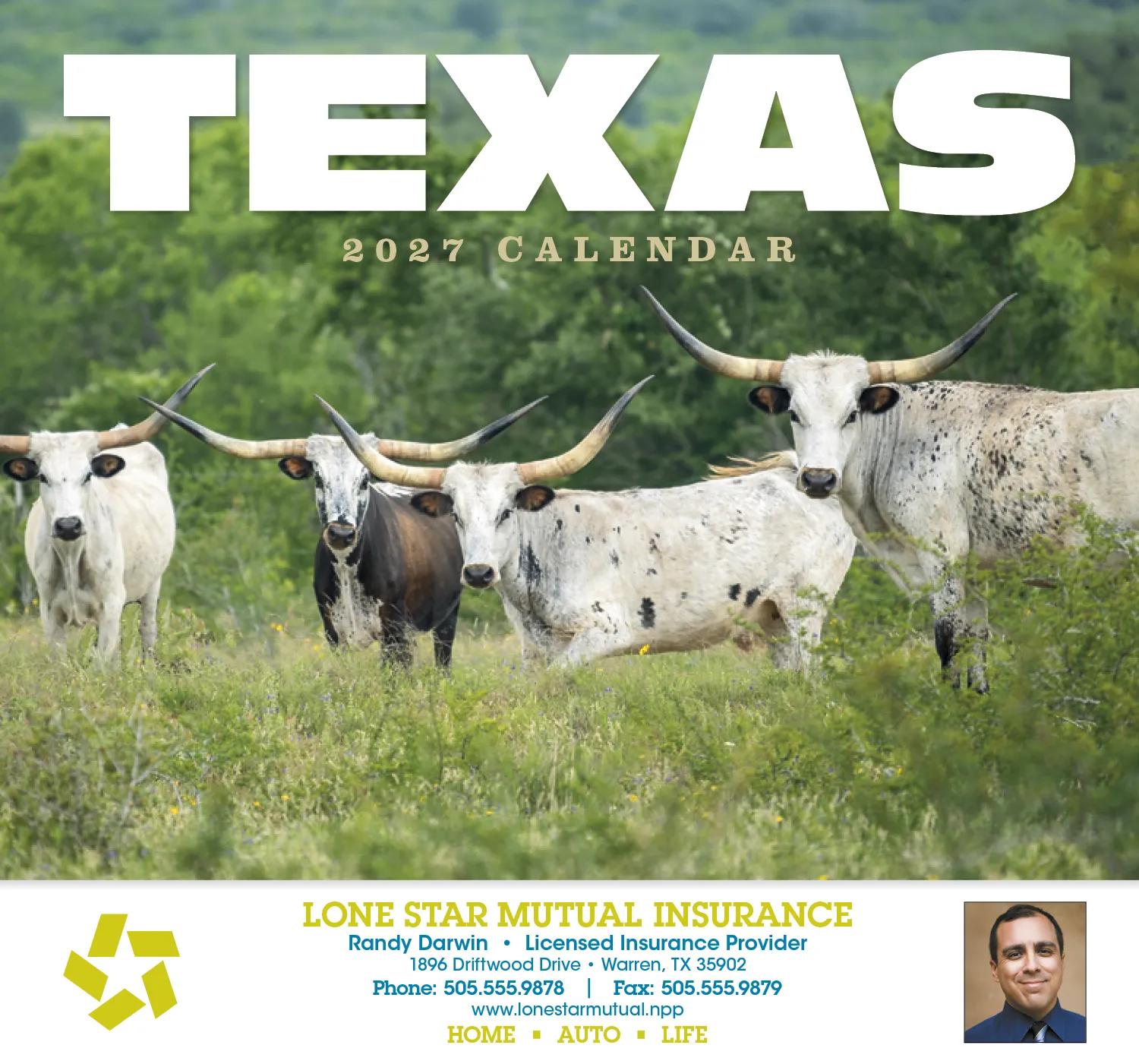 Texas Wall Calendar Lonestar State Landscapes - 19 x 11 in - product view 2