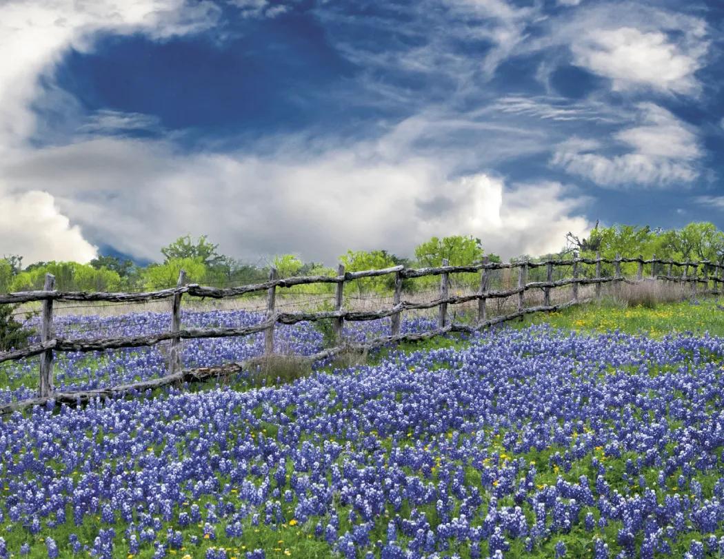 Texas Wall Calendar Lonestar State Landscapes - 19 x 11 in - product view 7