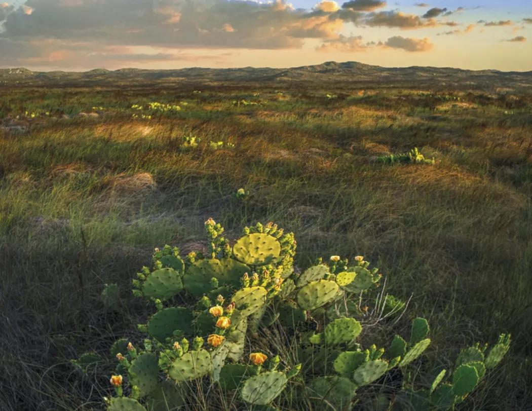 Texas Wall Calendar Lonestar State Landscapes - 19 x 11 in - product view 13