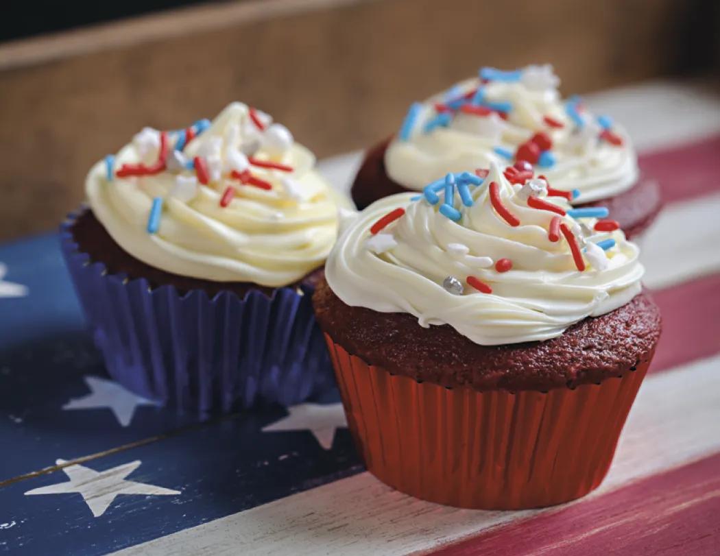 America Wall Calendar Patriotic Stapled FSC - 19 x 11 in - product view 6