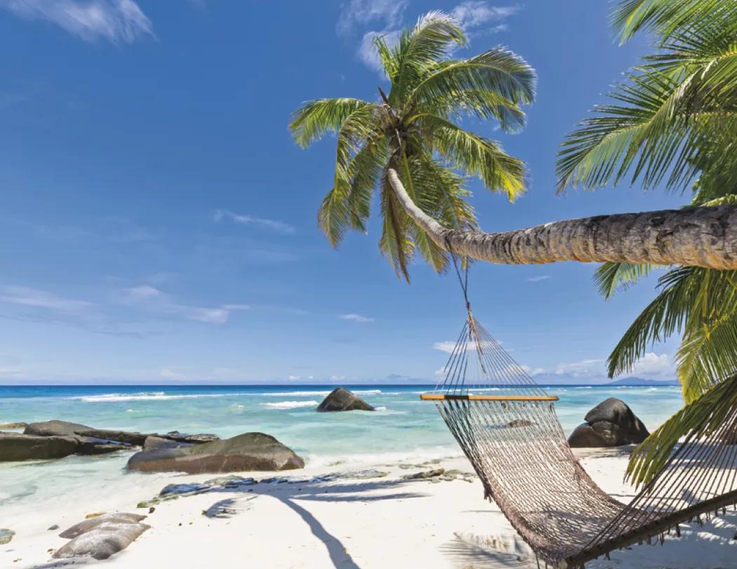 Beaches Wall Calendar Tropical Paradise FSC - 19 x 11 in - product view 10