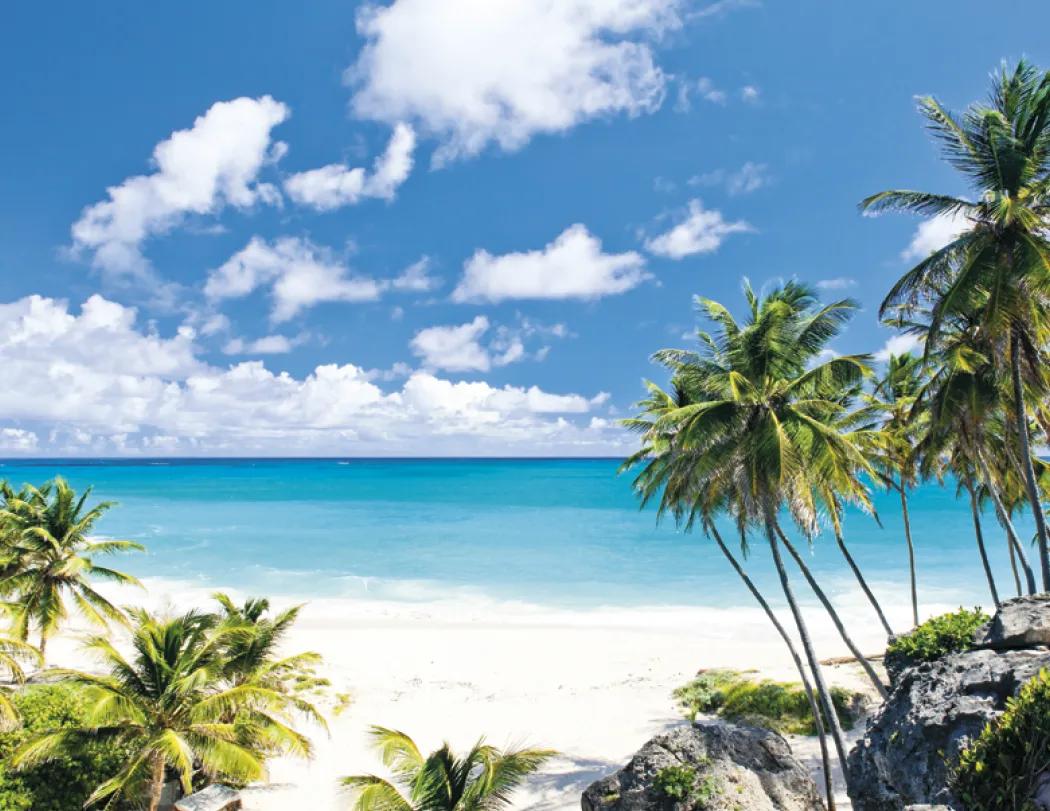 Beaches Wall Calendar Tropical Paradise FSC - 19 x 11 in - product view 13