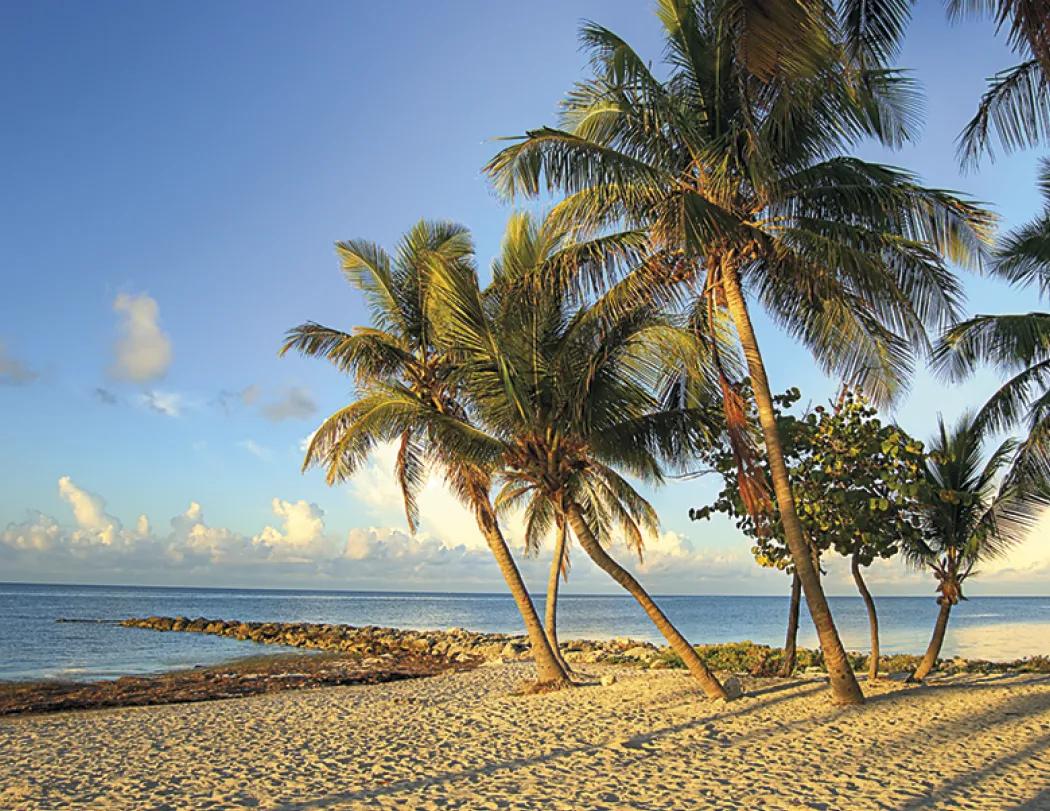 Beaches Wall Calendar Tropical Paradise FSC - 19 x 11 in - product view 14