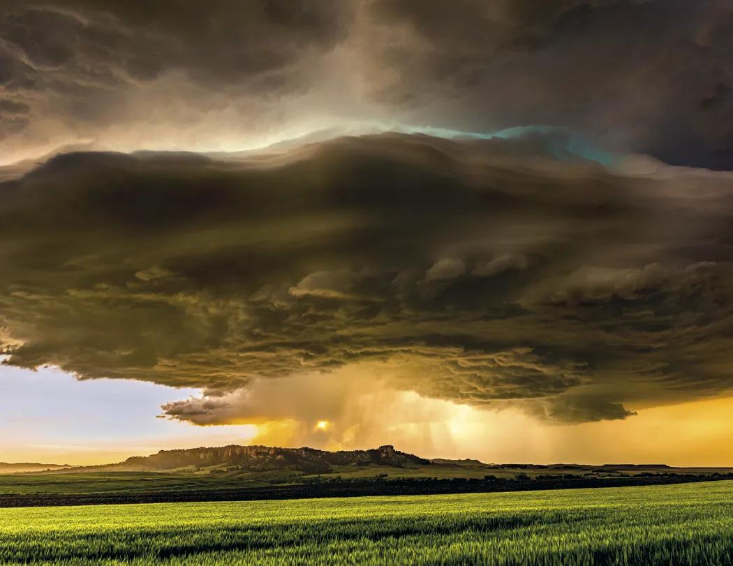 Weather Almanac Wall Calendar Phenomena FSC - 19 x 11 in - product view 7