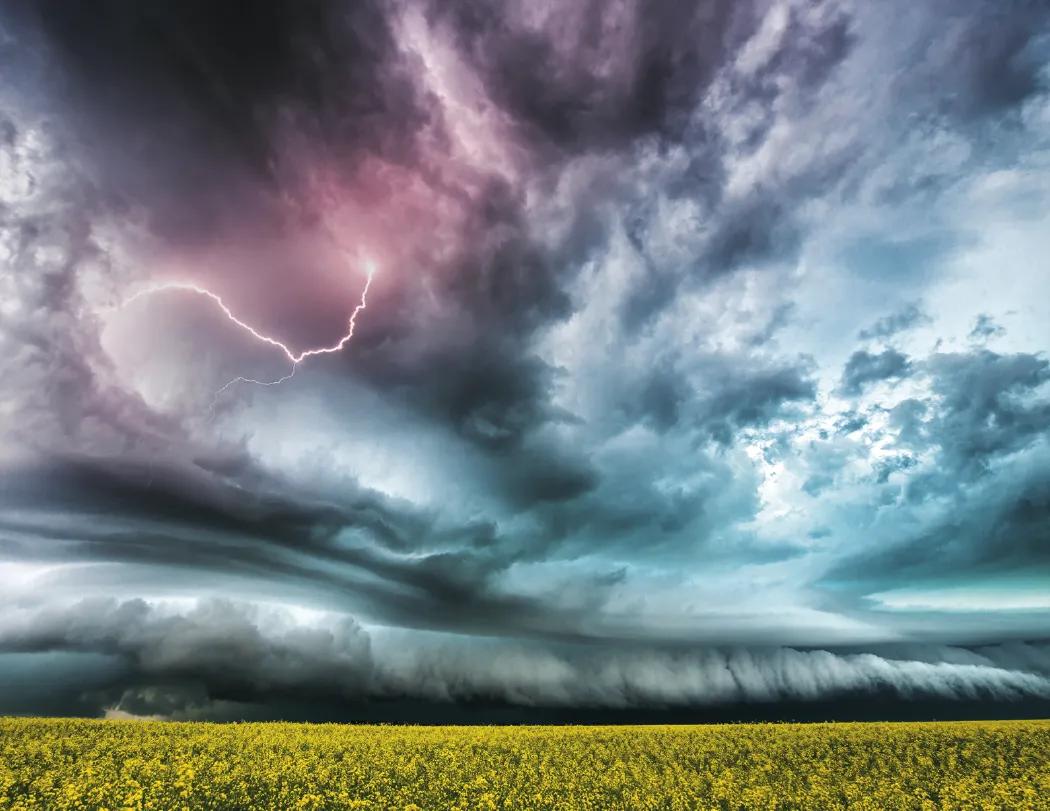 Weather Almanac Wall Calendar Phenomena FSC - 19 x 11 in - product view 8