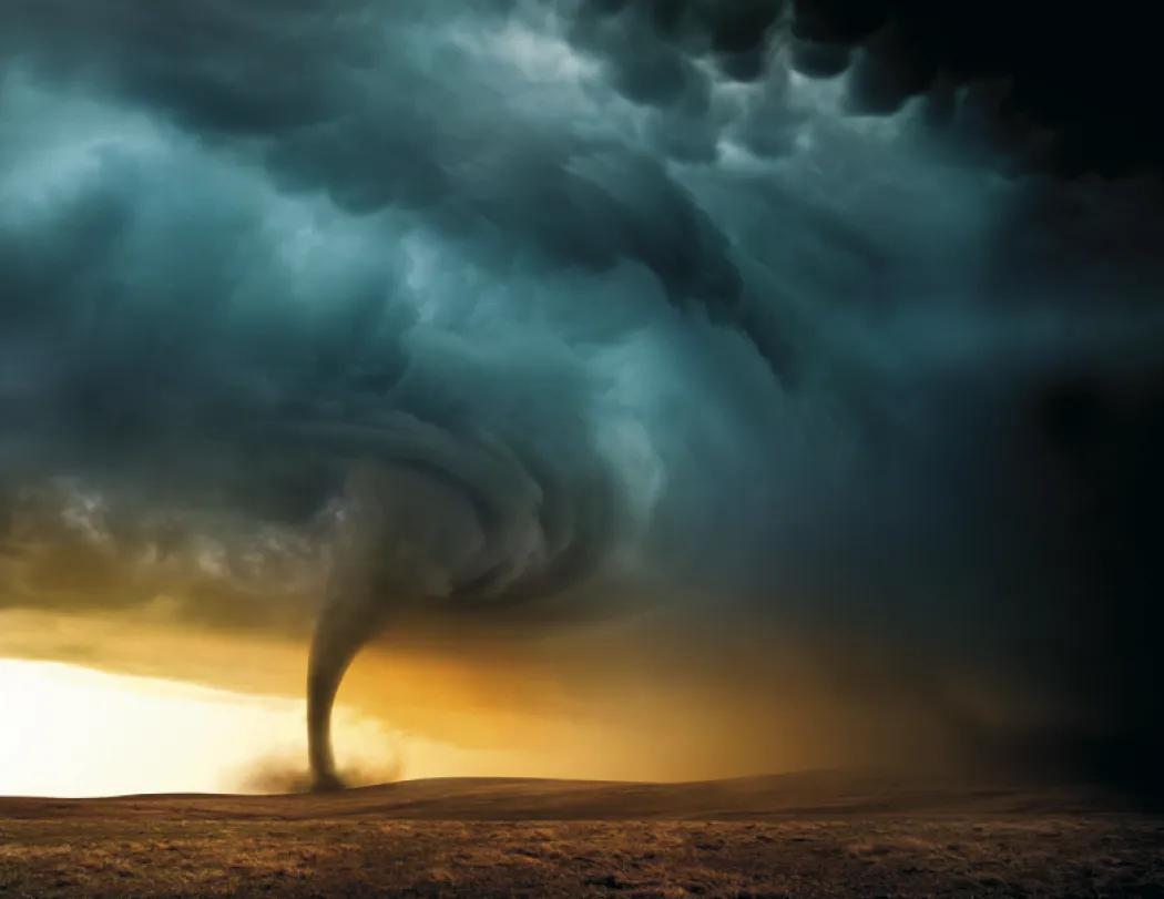 Weather Almanac Wall Calendar Phenomena FSC - 19 x 11 in - product view 12