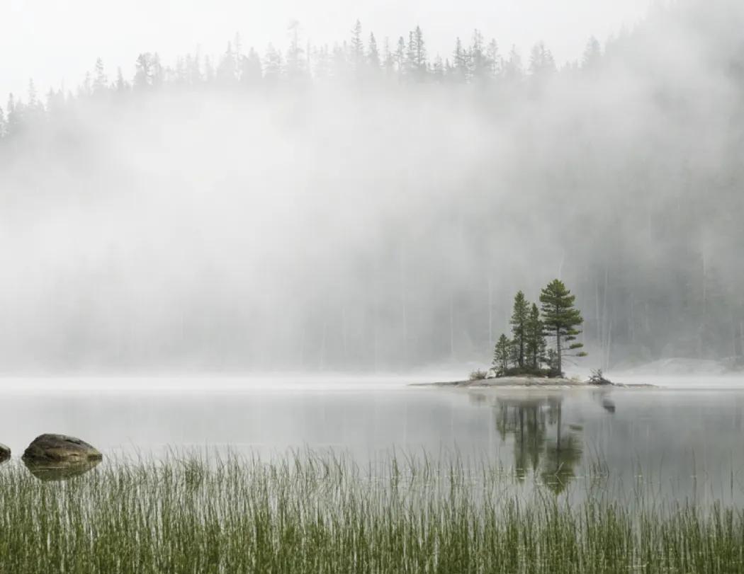 Weather Almanac Wall Calendar Phenomena FSC - 19 x 11 in - product view 13