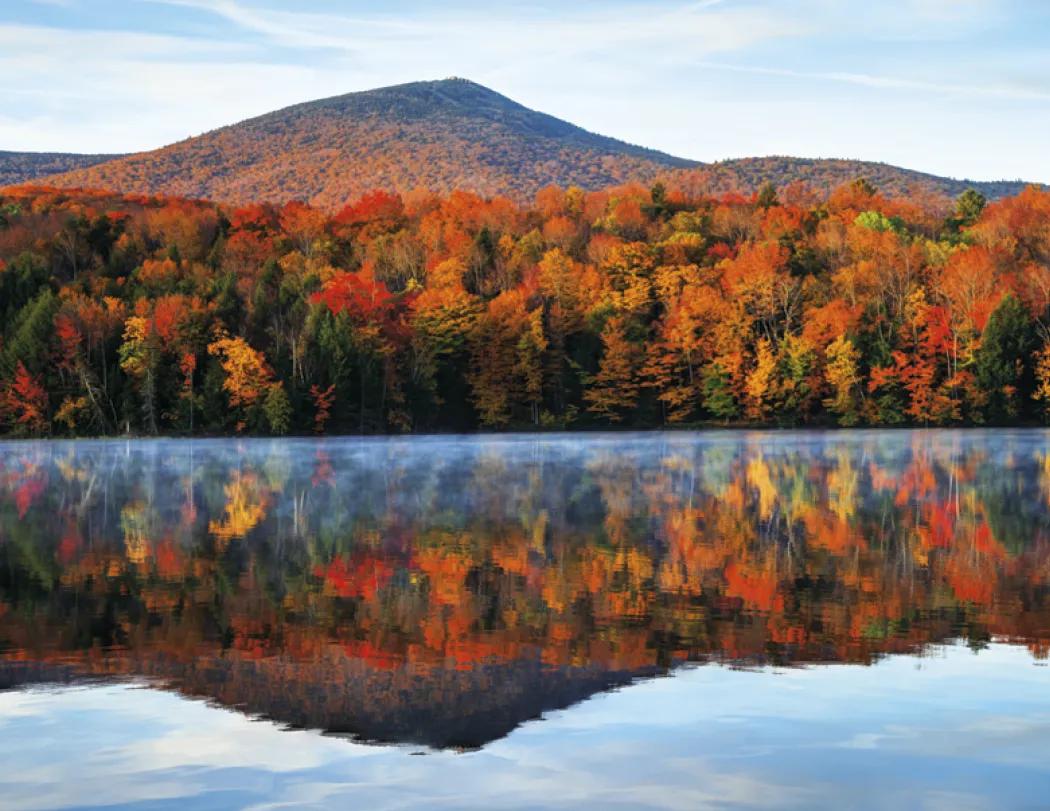 Weather Almanac Wall Calendar Phenomena FSC - 19 x 11 in - product view 14