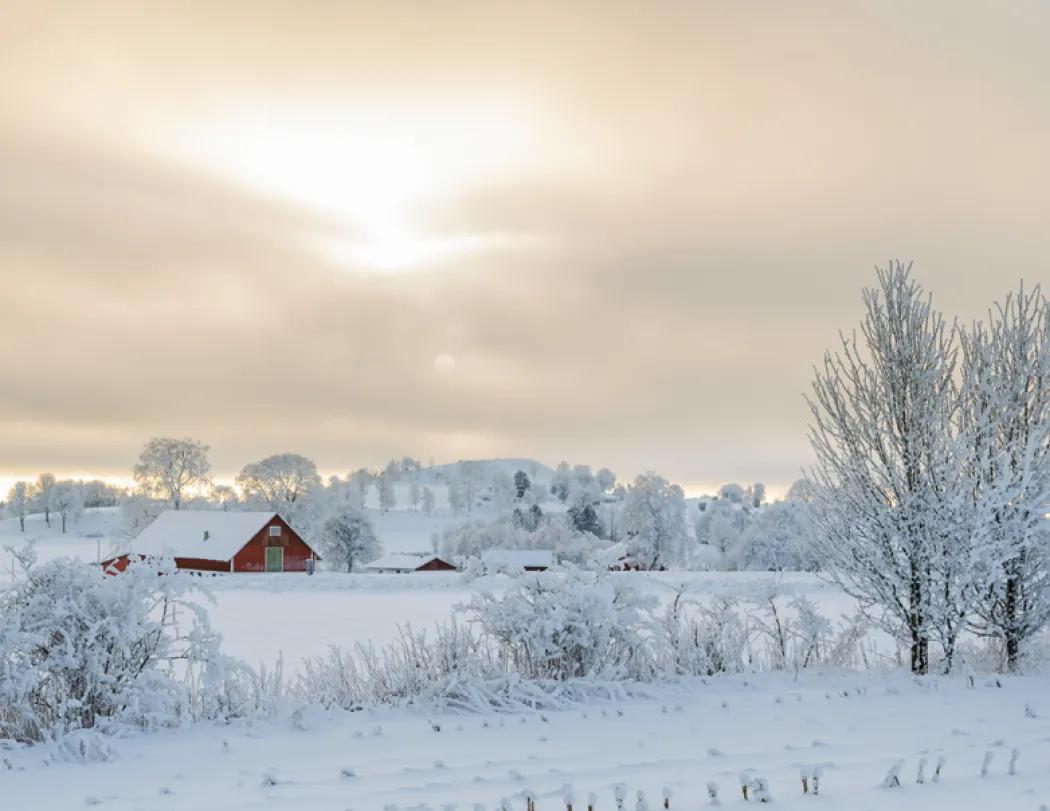 Weather Almanac Wall Calendar Phenomena FSC - 19 x 11 in - product view 16