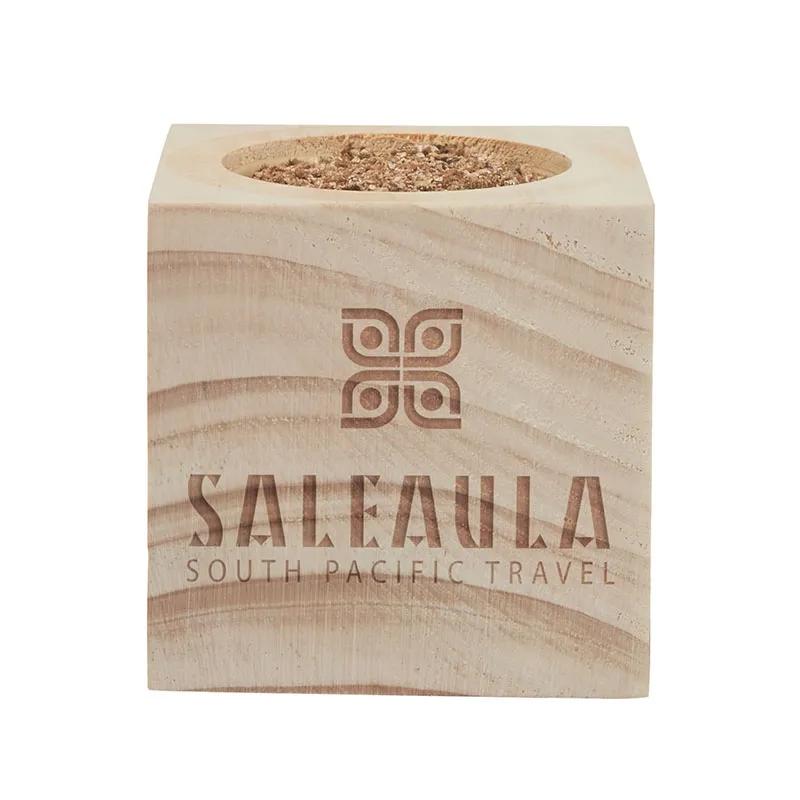 Christmas Tree Grow Kit Norway Spruce Pinewood - 3 in