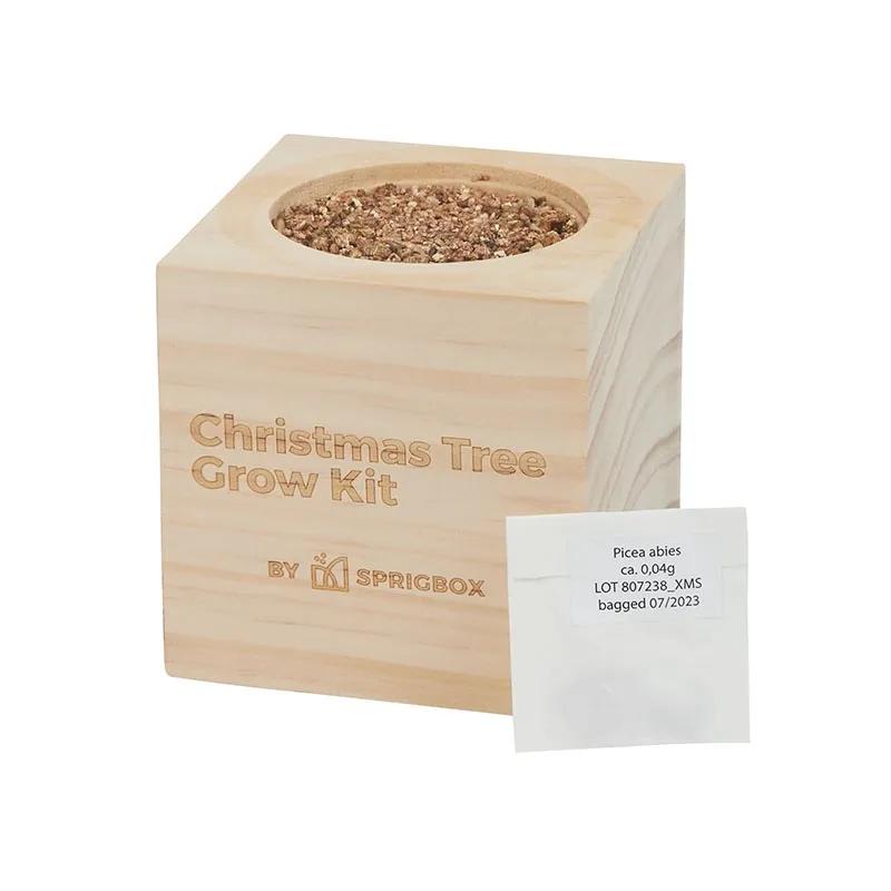 Christmas Tree Grow Kit Norway Spruce Pinewood - 3 in - product view 2
