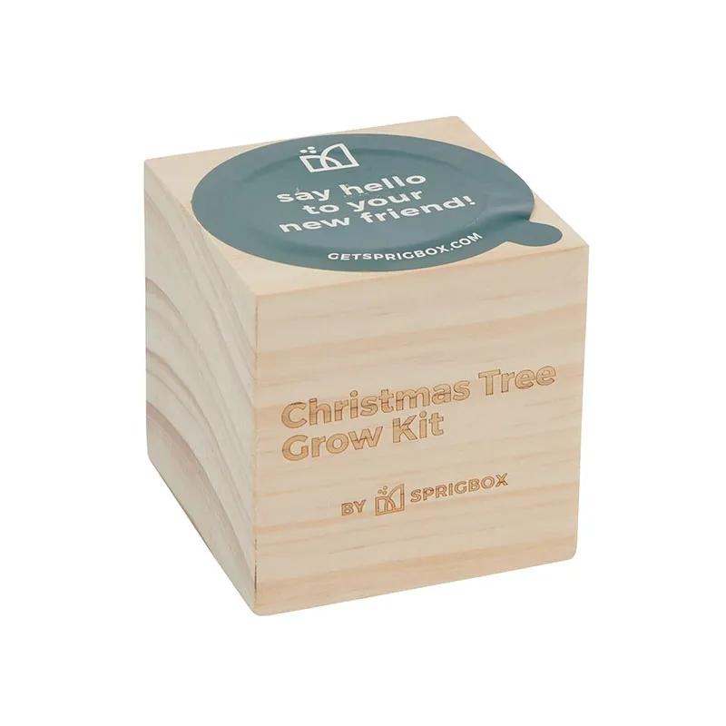 Christmas Tree Grow Kit Norway Spruce Pinewood - 3 in - product view 3
