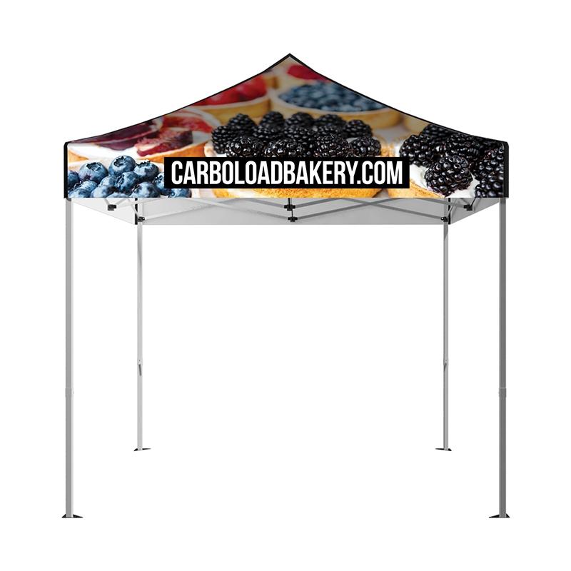 Tent Canopy Aluminum Frame with Carrying Bag - 10 x 10 ft